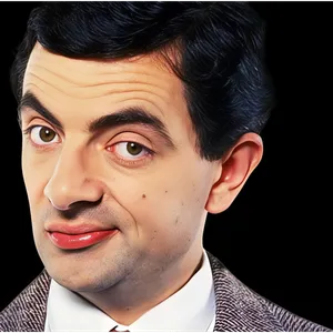 LES LOIS DE LA STUPIDITÉ