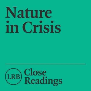 Nature in Crisis: ‘Silent Spring’ by Rachel Carson