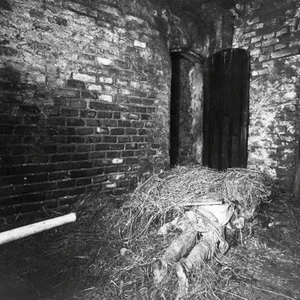 E01 | The Hinterkaifeck Murders