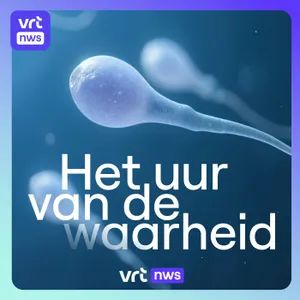 Beter sperma dankzij oesters en testosteron: kan dat?