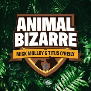 Fake Pandas and Bizarre Butterfly Biology - Animal Bizarre