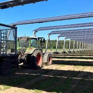 Agri-Photovoltaik: Learnings aus zwei Jahren Schnittlauch und Strom