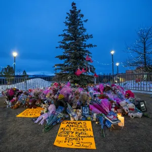 Disturbing new allegations about ChatGPT, Tumbler Ridge
