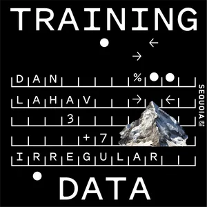 Securing the AI Frontier: Irregular Co-founder Dan Lahav