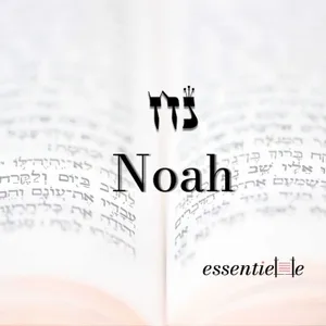 5787 - Noah - Comment sortir de l'arche ?