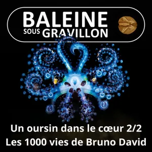S08E17 Un oursin dans le cœur 2/2 : Passion Océan (Bruno David)