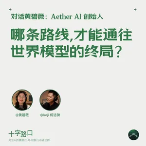 因果路线，才能通往「世界模型」的终局？｜对话黄碧薇：Aether AI 创始人