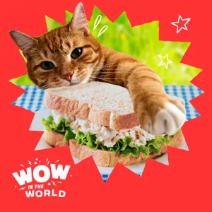 It's Tuna Time! Discover the Science of Why Cats Love Savory Foods