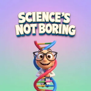 What is DNA?
