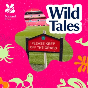 Wembley Stadium | Football's Perfect Pitch
