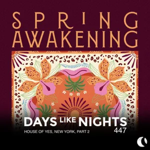 DAYS like NIGHTS 447 - House of Yes, New York, Part 2