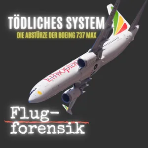 Tödliches System - die Katastrophen der Boeing 737 MAX