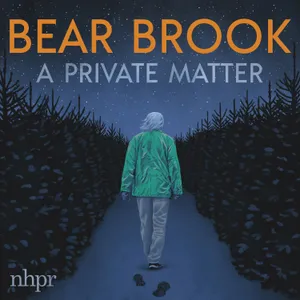Bear Brook