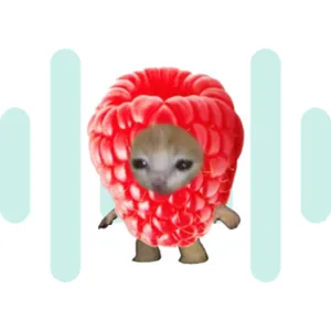 Raspberry SoundBoard - SoundBoardW.com