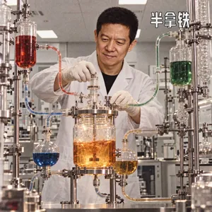 No.220 互联网系列大结局：贾公下周回国日，乐视宏图未倒时 | 中国互联网故事 29