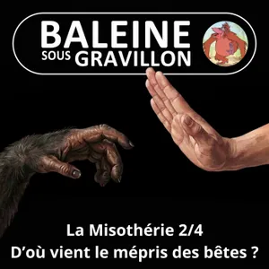 S08E06 La Misothérie 2/4 : De la vénération au mépris des "bêtes"