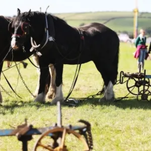 Liveline at The Ploughing