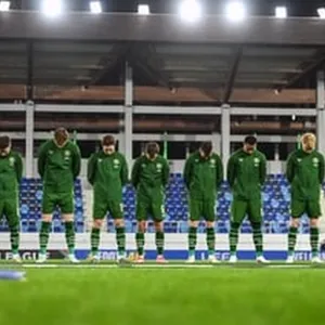 What next for the FAI & the Irish team?