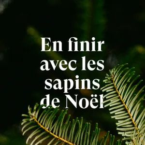 Doit-on en finir avec les sapins de Noël ?