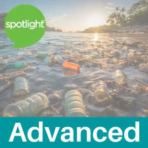 The Plastic Problem (Advanced Program)