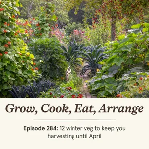 12 winter veg to keep you harvesting until April - Episode 284