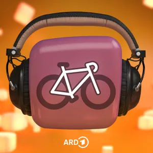Fahrrad - Mountainbike oder Rennrad?