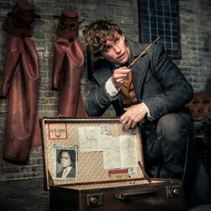 Le Poudcast #53 : La sortie des 'Crimes de Grindelwald'