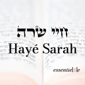 5786 - Hayé Sarah - les 3 frontières à réparer