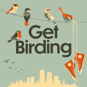 Get Birding's RSPB Big Garden Birdwatch Special: Chris Packham, Samuel West, Miranda Krestovnikoff , Dr Amir Khan, Sam Lee & Edwyn Collins