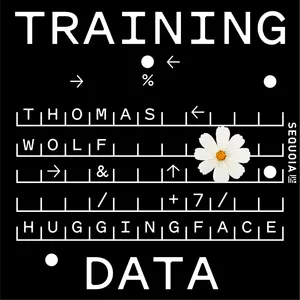 Building the "App Store" for Robots: Hugging Face's Thomas Wolf on Physical AI