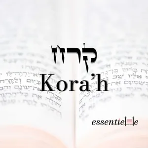 5786 - Kora'h - Rêver de grandeur