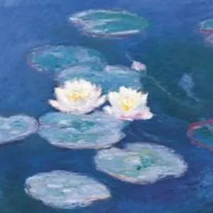 Episode 73 : Le syndrome de l'Orangerie