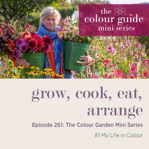 The Colour Guide Mini Series #1: My life in colour  - Episode 261
