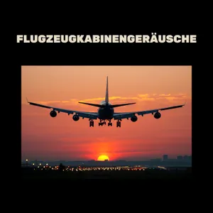 Flugzeugkabinengeräusche - Fluglärm - Weißes Flugzeugrauschen - Flugzeugrauschen Beruhigen