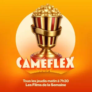 Les Caméflex d'Or - Bilan de l'année 🏆