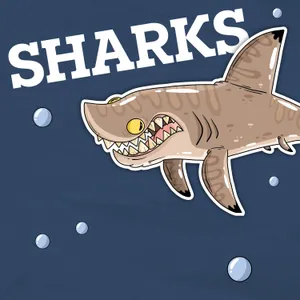 Do Sharks Sleep With Their Eyes Open or Closed?