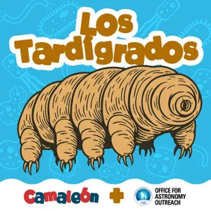 Tardígrados: ¡los animales que sobreviven hasta en el espacio!