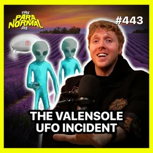 The Valensole UFO Incident - France's Roswell