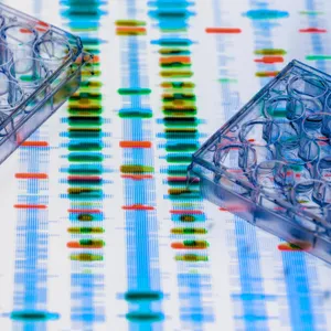 Nature or nurture: can genes make us behave ‘badly’?