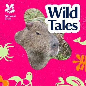 Finding Cinnamon | A Capybara Gone Rogue