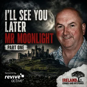I'll See You Later, Mr Moonlight (Part 1)