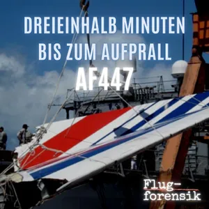 Air France 447 - Dreieinhalb Minuten bis zum Aufprall