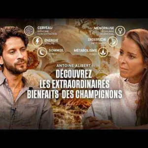 ANTOINE ALIBERT - DECOUVREZ LES EXTRAORDINAIRES BIENFAITS DES CHAMPIGNONS - REGARDER L'INVISIBLE