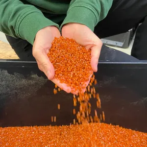 Traceless: Wenn klimaschädliches Plastik einfach verschwindet