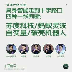 当具身智能走到十字路口｜对谈苏度、蚂蚁灵波、自变量、破壳：四种一线判断