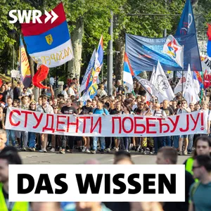 Serbien im Umbruch – Von Uni-Protesten zu Neuwahlen