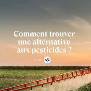 Comment trouver une alternative aux pesticides ?