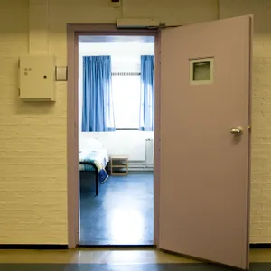 #233 - Vast in het tbs-systeem