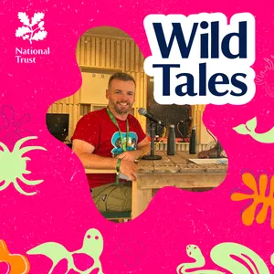 Wild Voices | Nature and Belonging