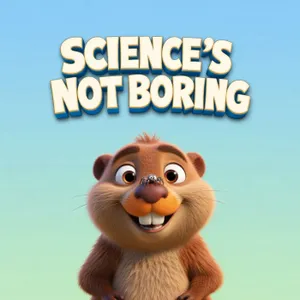What is an animal architect?